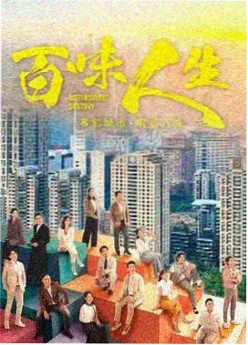 电视剧 阳台故事 2026